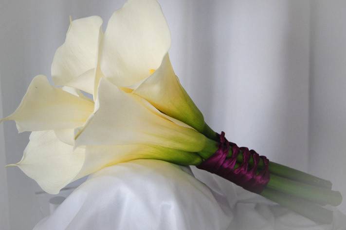 A hand tied bouquet of large white calla lilies tied with deep purple ribbon.