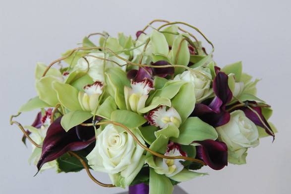 What an interesting combination of green  Cymbidium orchids, deep purple mini callas and ivory rose. Accents of curly willow over the top of the bouquet add a unique modern touch.