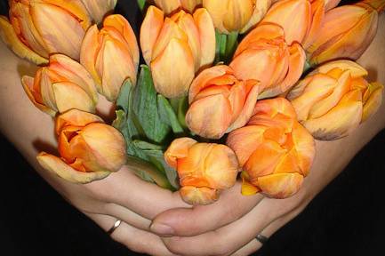 Simple elegance, no pretense....just a cluster of orange tulips.