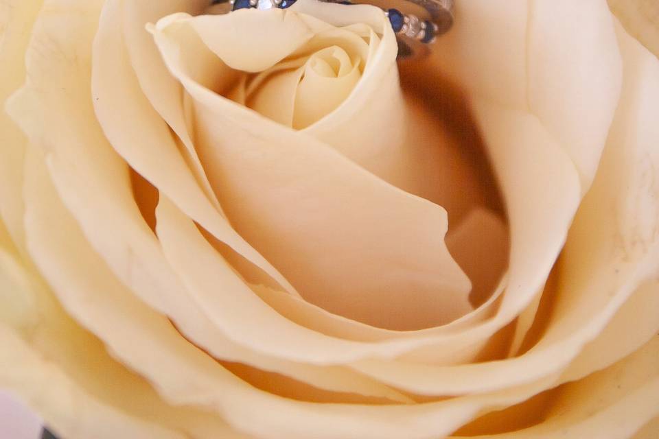 DoubleStar Photography