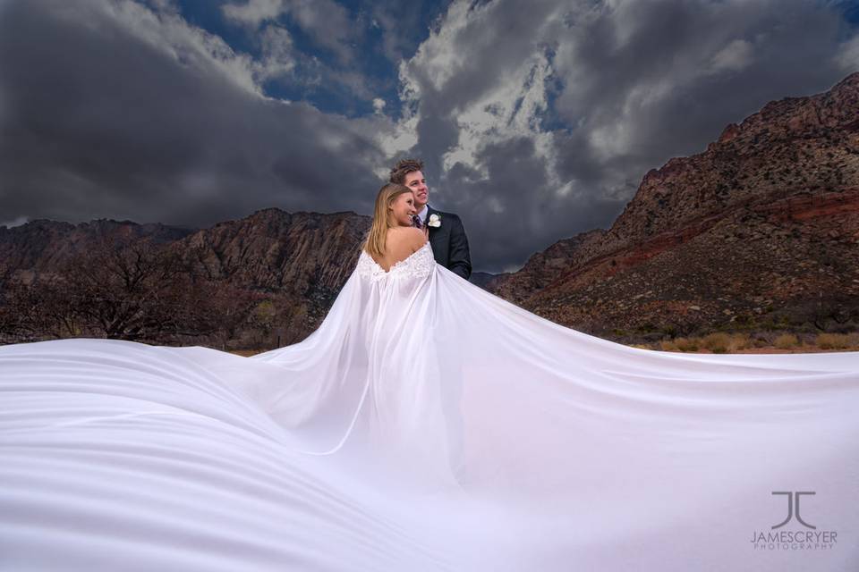 A beautiful dress and a bit of creativity combine to make an epic wedding portrait.