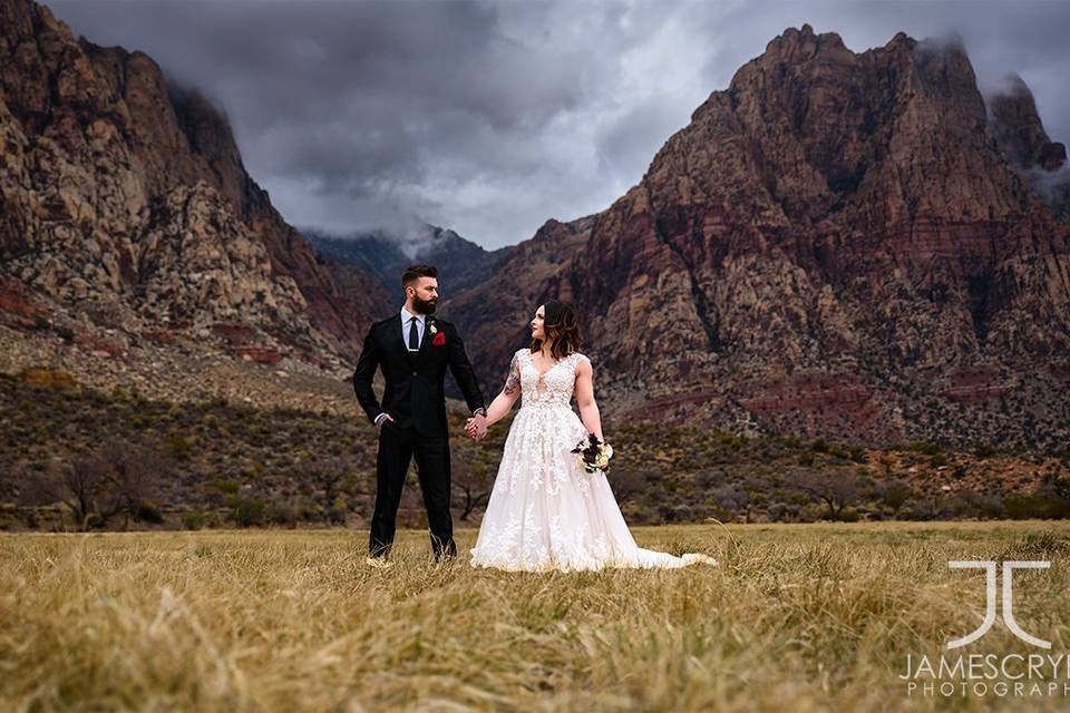 Light snow?  Misty rain? Ominous clouds? No worries!  This is just the recipe for another incredible wedding portrait!