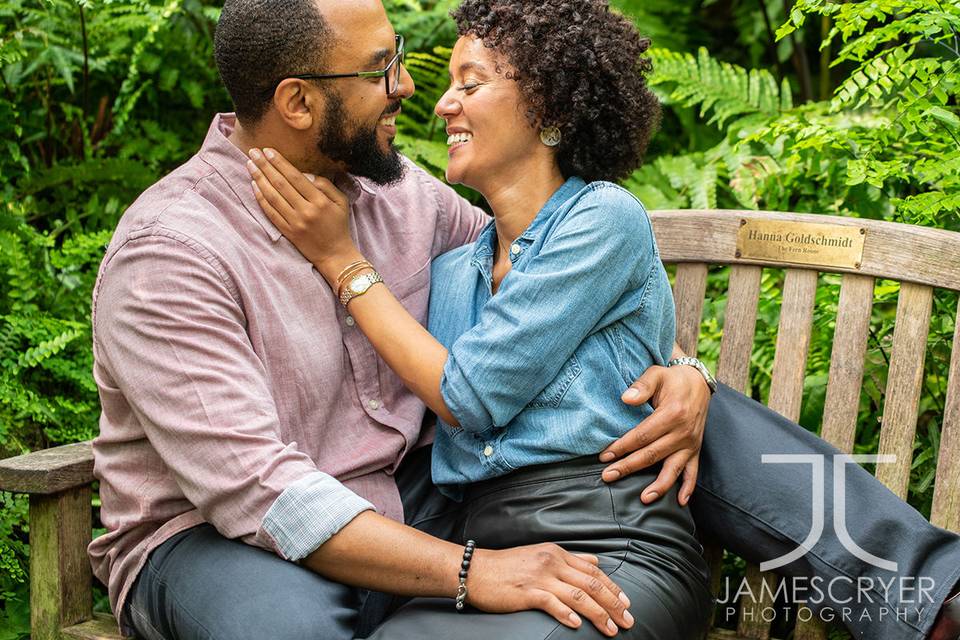 A quiet moment at the Garfield Park Arboretum