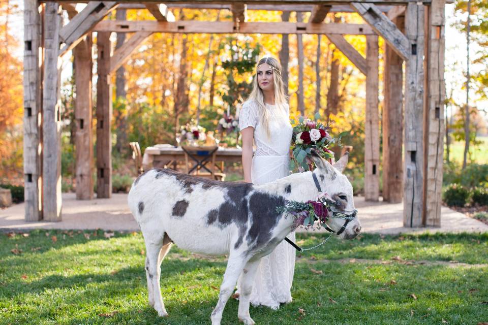 Bridal portrait