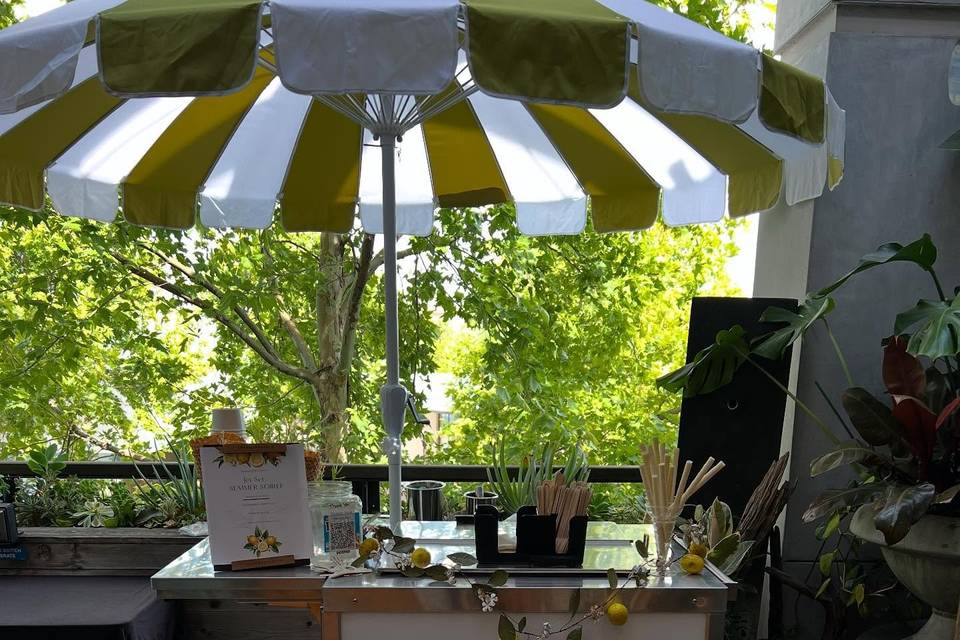 Mr. Nova’s Ice Cream Cart