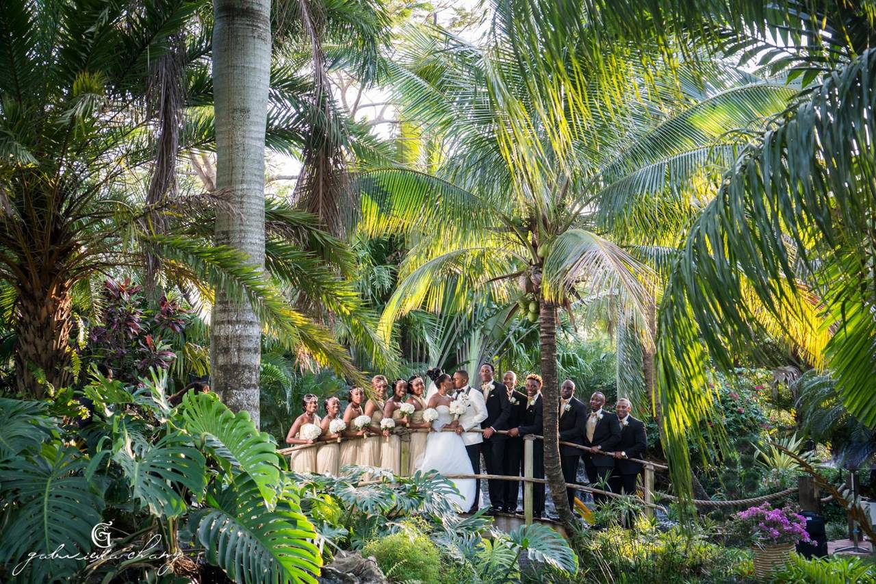 Bamboo Gallery - Park & Outdoor Weddings - Fort Lauderdale, FL ...