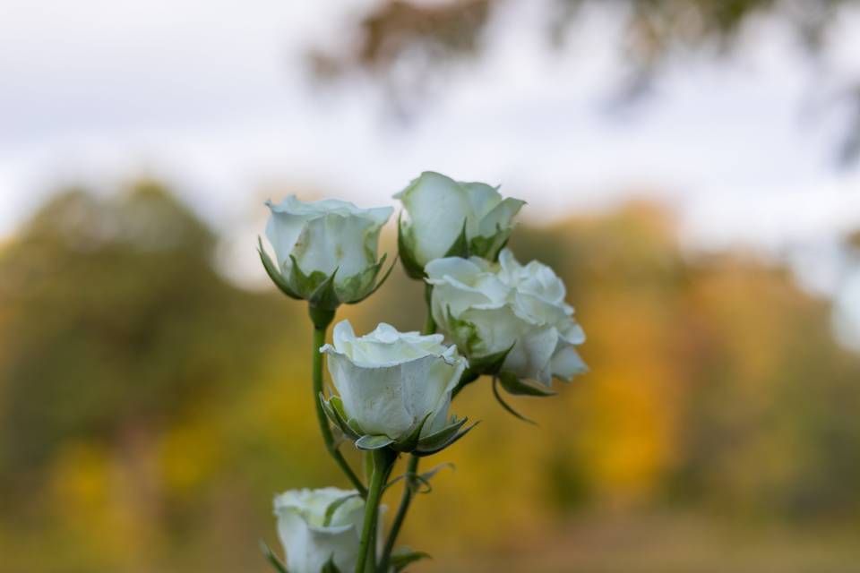 Wedding Detail Shot