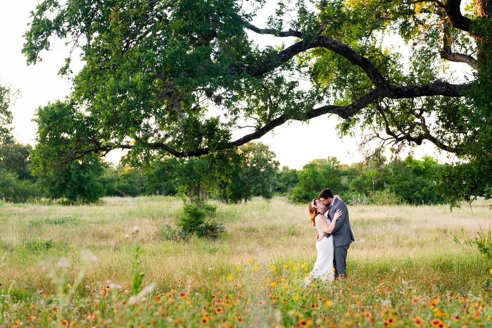 Ladybird Johnson Wildflower Ce