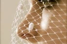 Bride behind her netted veil