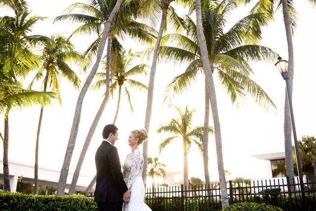 Palm Trees for Photos