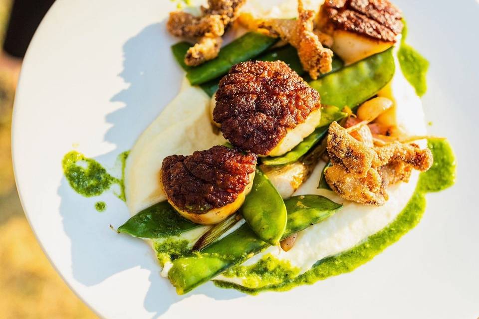Seared scallops