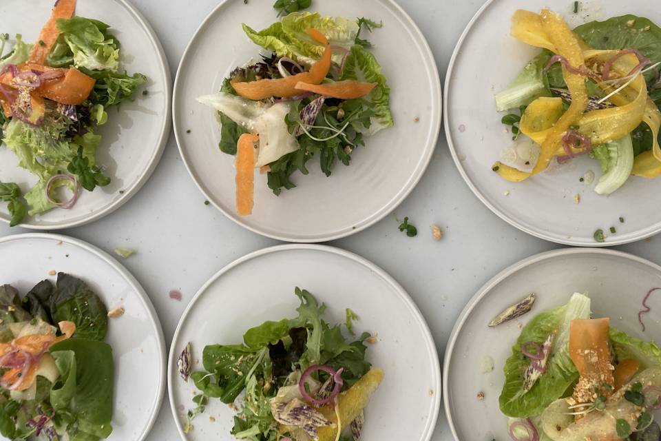 Plated salad