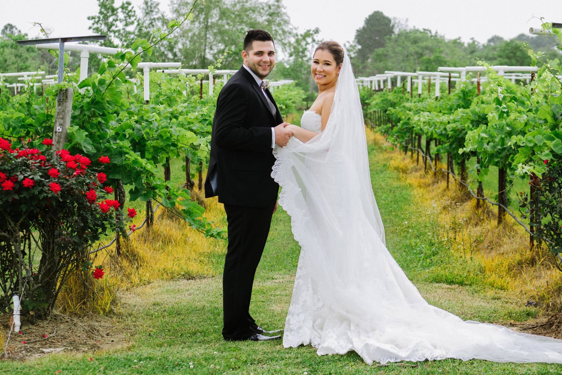 Haak Vineyards And Winery Winery Weddings Santa Fe Tx Weddingwire