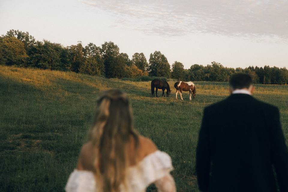 Wedding Photographer