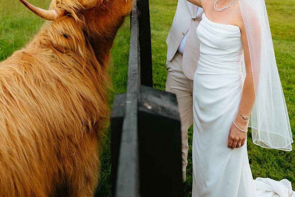 Feeding the Coos