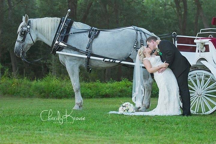 Newlyweds by a horse-drawn carriage