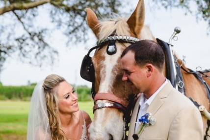 Couple with the horse