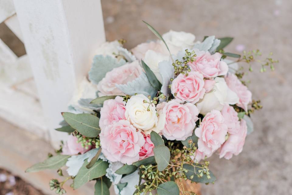 Pinks and dusty miller