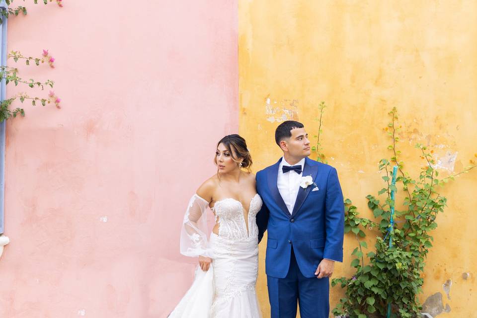 Bride and Groom's Portraits