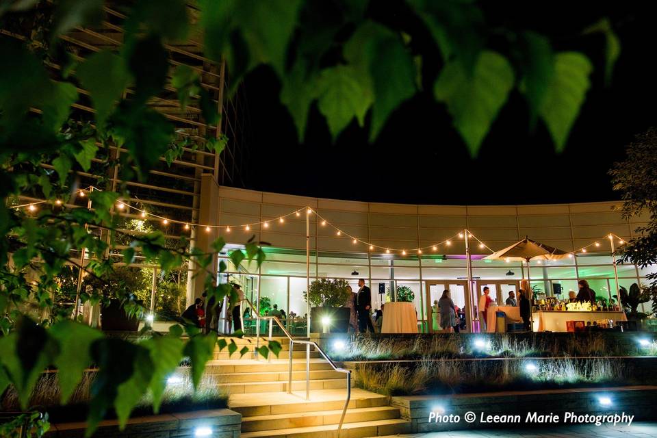 Tropical Forest Patio