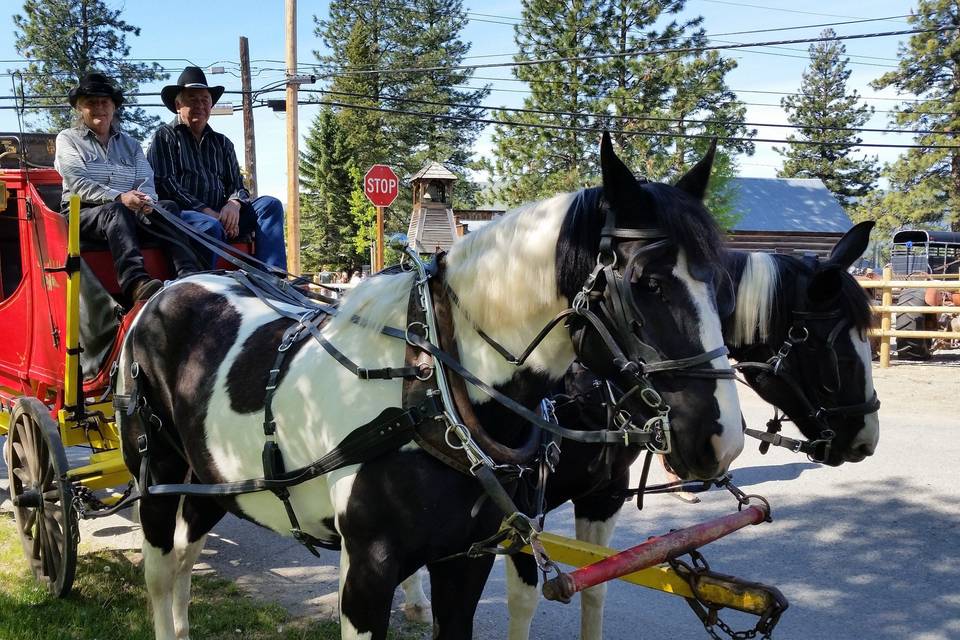 Gala Horse Drawn Carriages