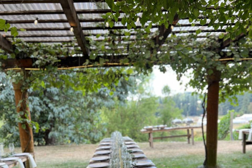 Rustic wood tables