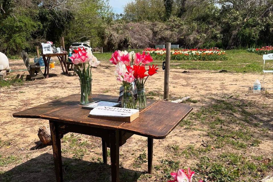 Cape May Wildflower Farm