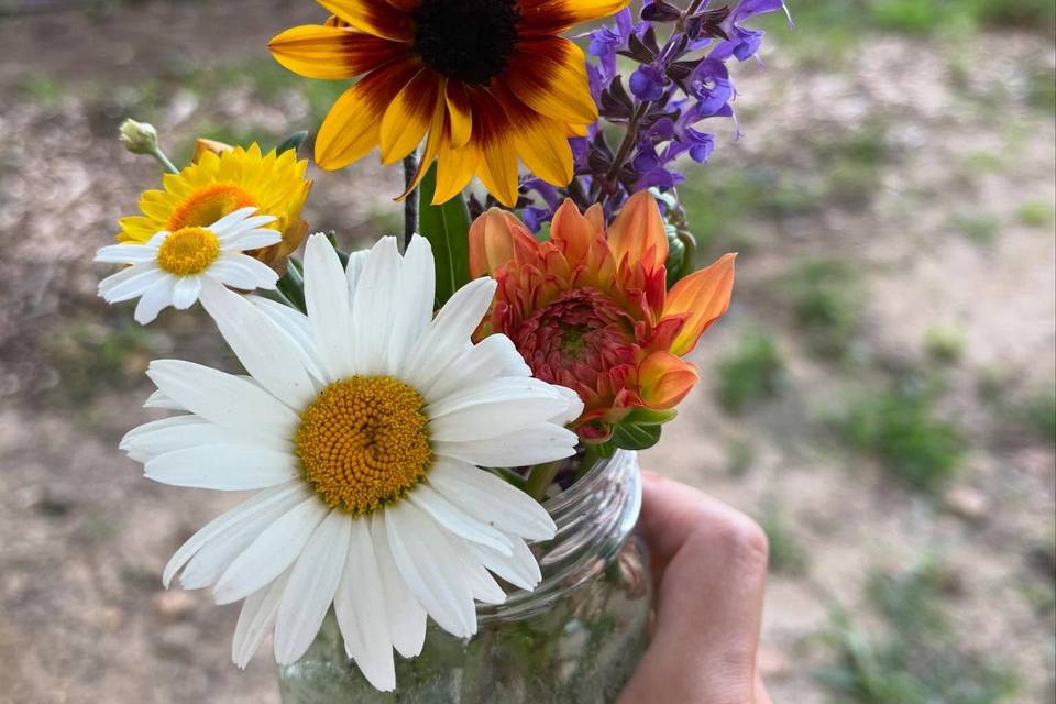 Cape May Wildflower Farm