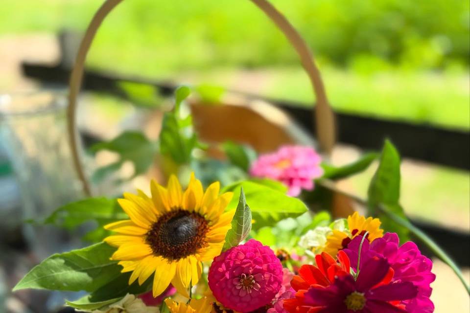 Cape May Wildflower Farm