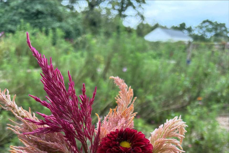 Cape May Wildflower Farm