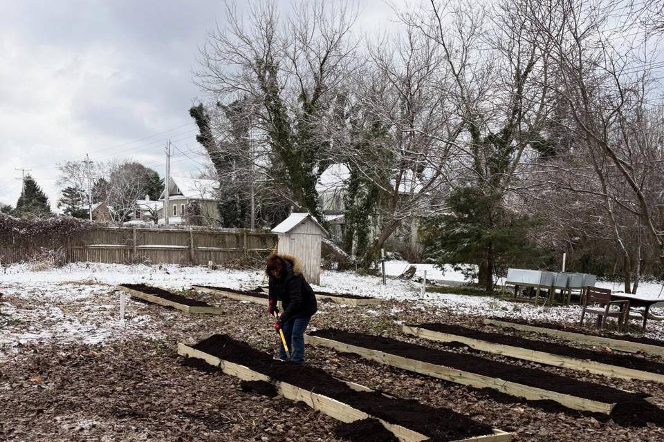 Cape May Wildflower Farm