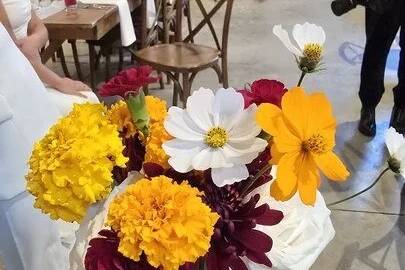 Cape May Wildflower Farm