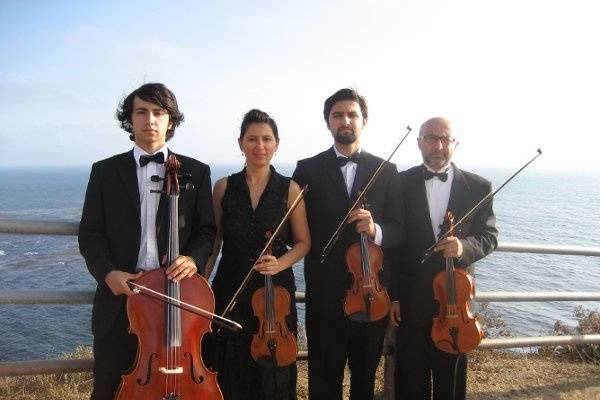 Bravo String Quartet