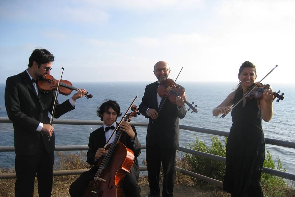 Bravo String Quartet / Bravo Music