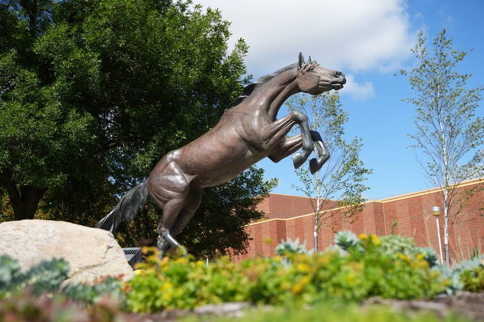 Bronco Statue