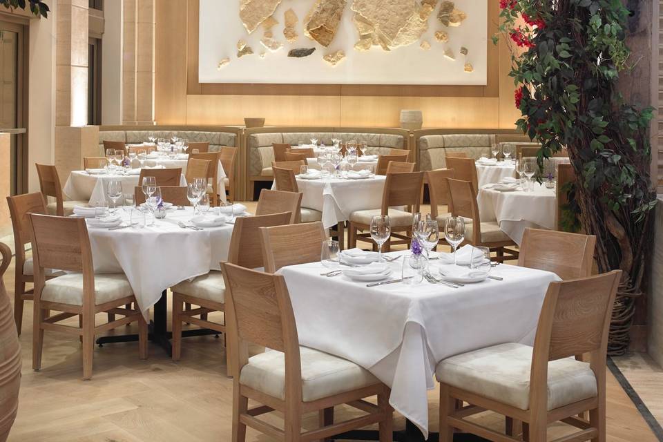 South dinning room view