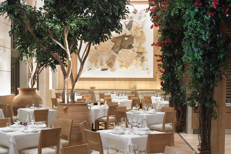 North dinning room view