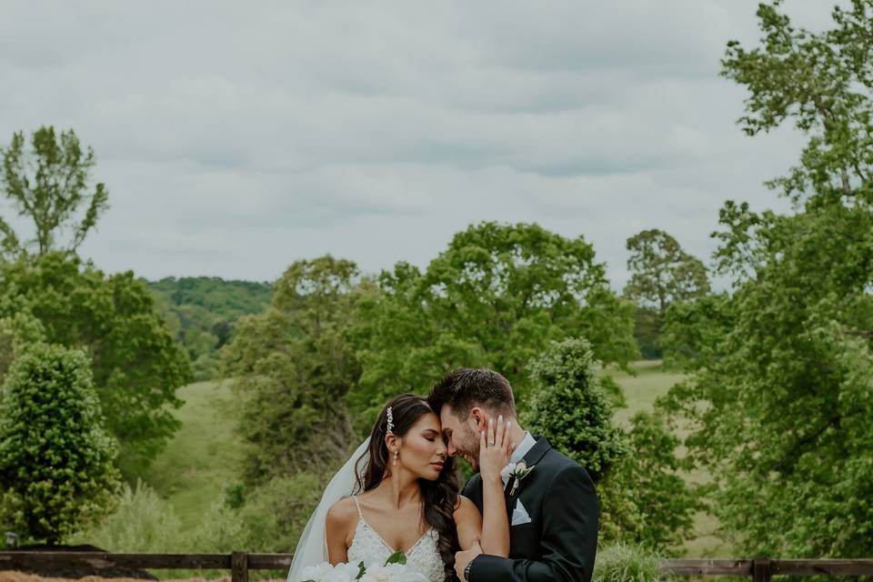 Candidly Yours Photography