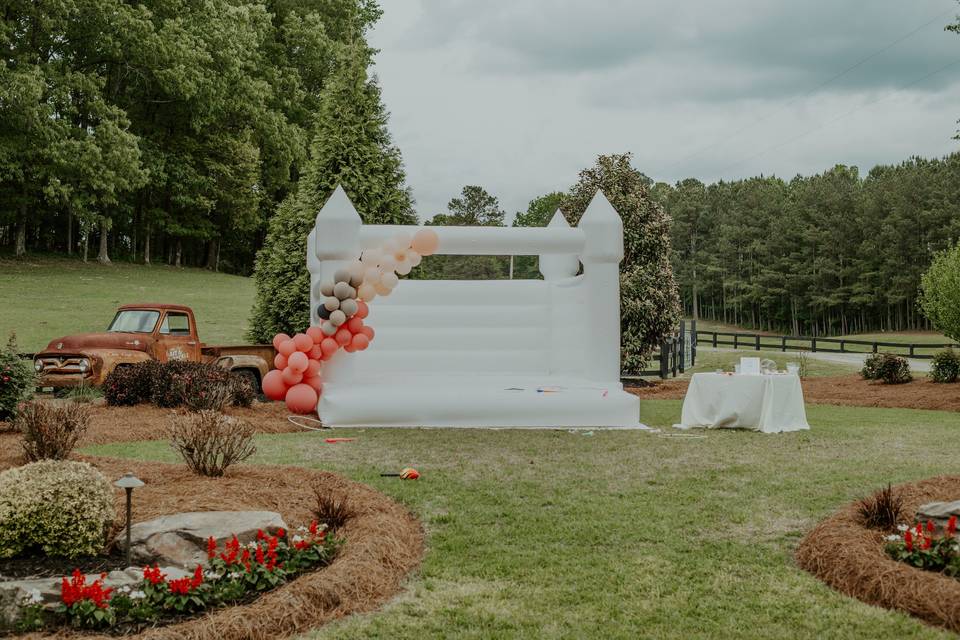 Candidly Yours Photography