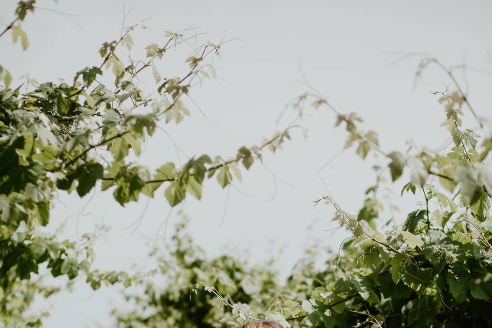 Candidly Yours Photography