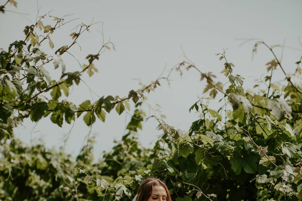 Candidly Yours Photography