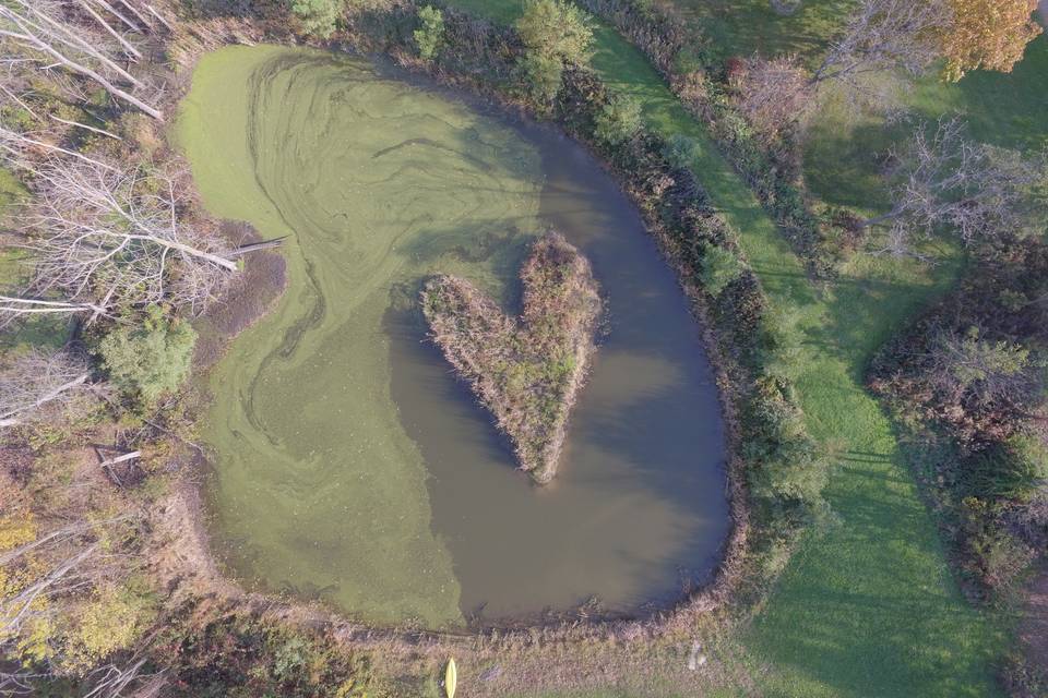 Heartshaped island in pond