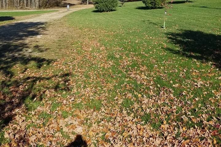 Drive way in fall