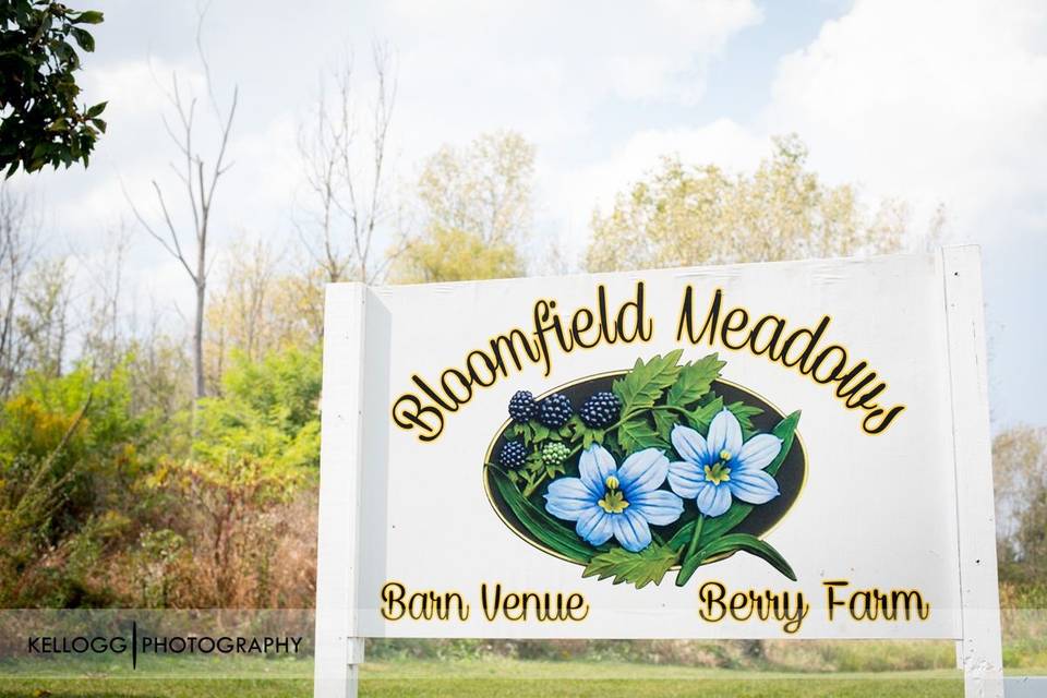 Bloomfield Meadows