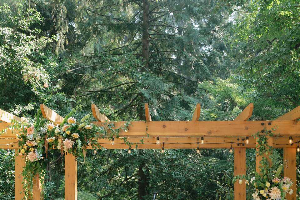 Permanent Arbor on Terrace