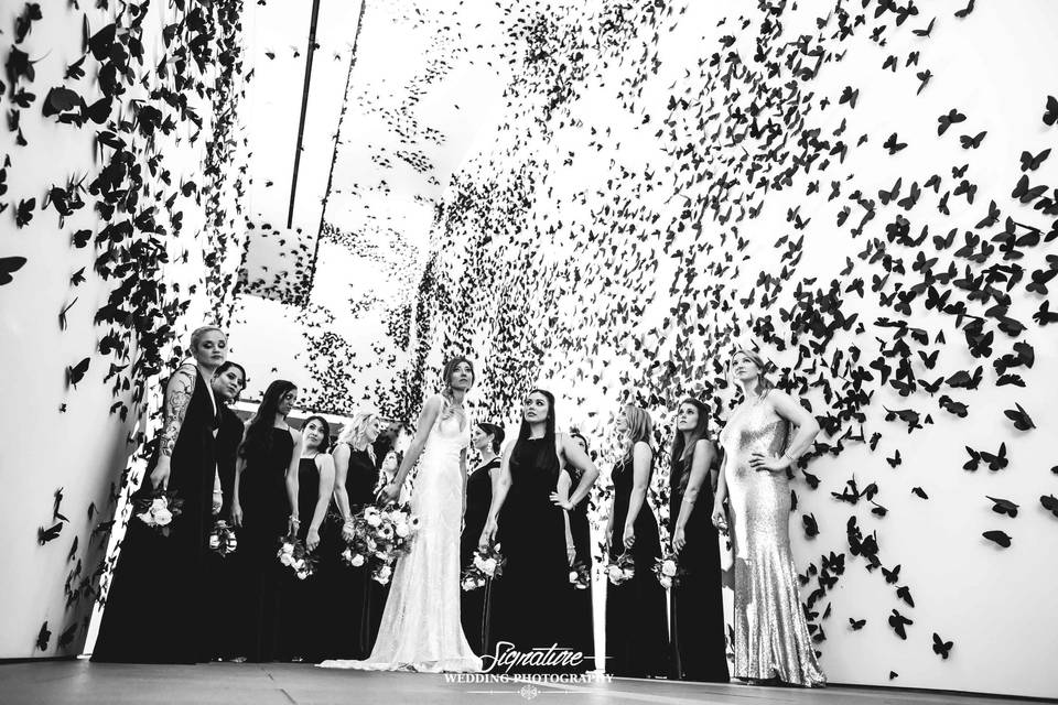 Signature Wedding Photography