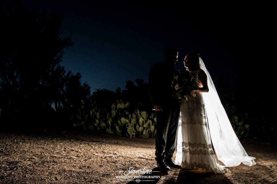 Signature Wedding Photography