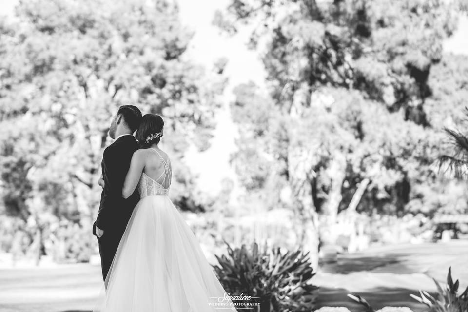 Signature Wedding Photography