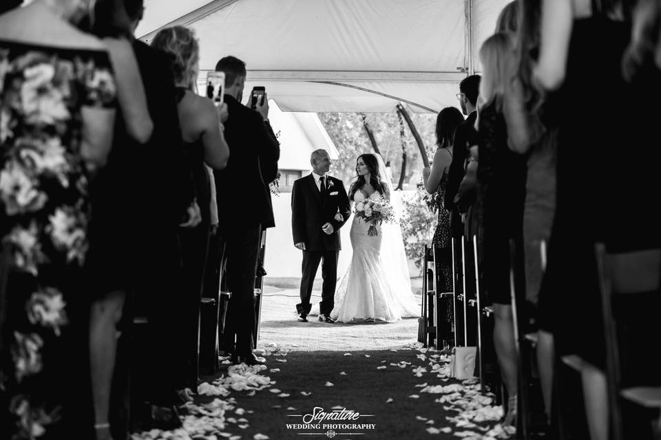 Signature Wedding Photography