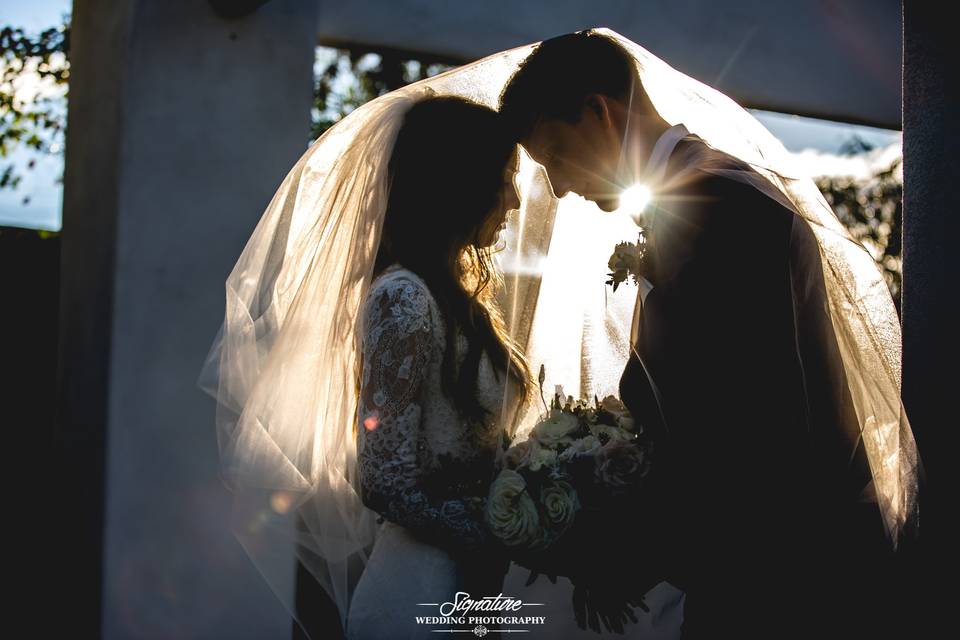 Signature Wedding Photography